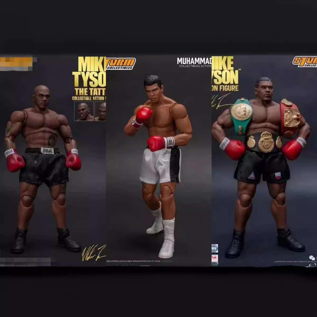 Storm Toys Boxing Tyson Boxing - огляд і ціна Bandai Gundam Rg