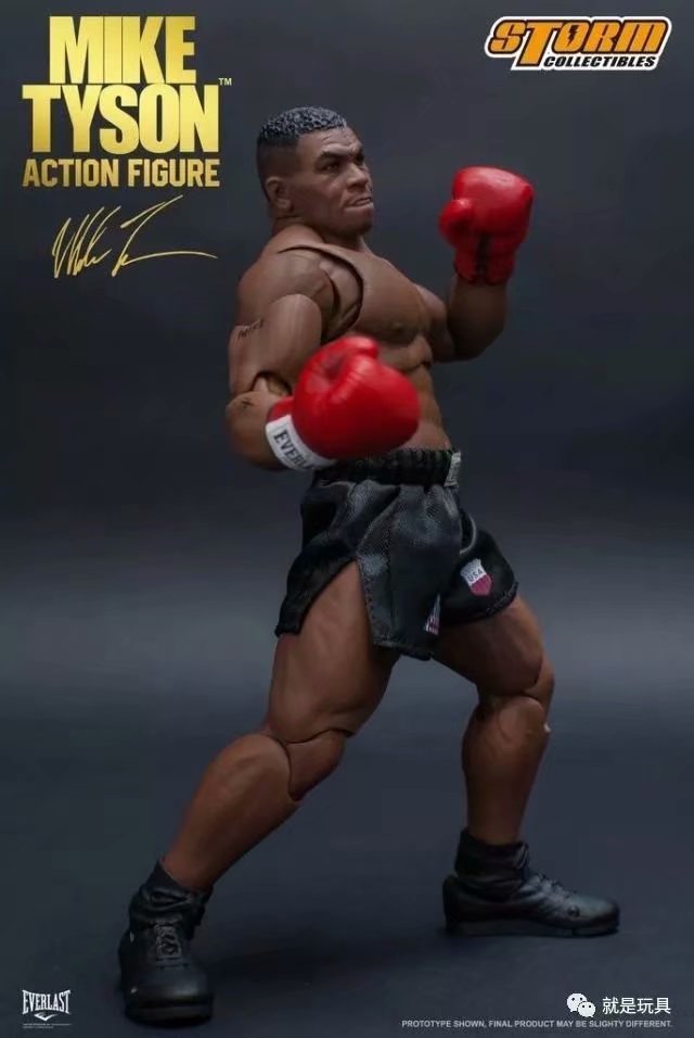Storm Toys Boxing Tyson Boxing - огляд і ціна Bandai Gundam Rg