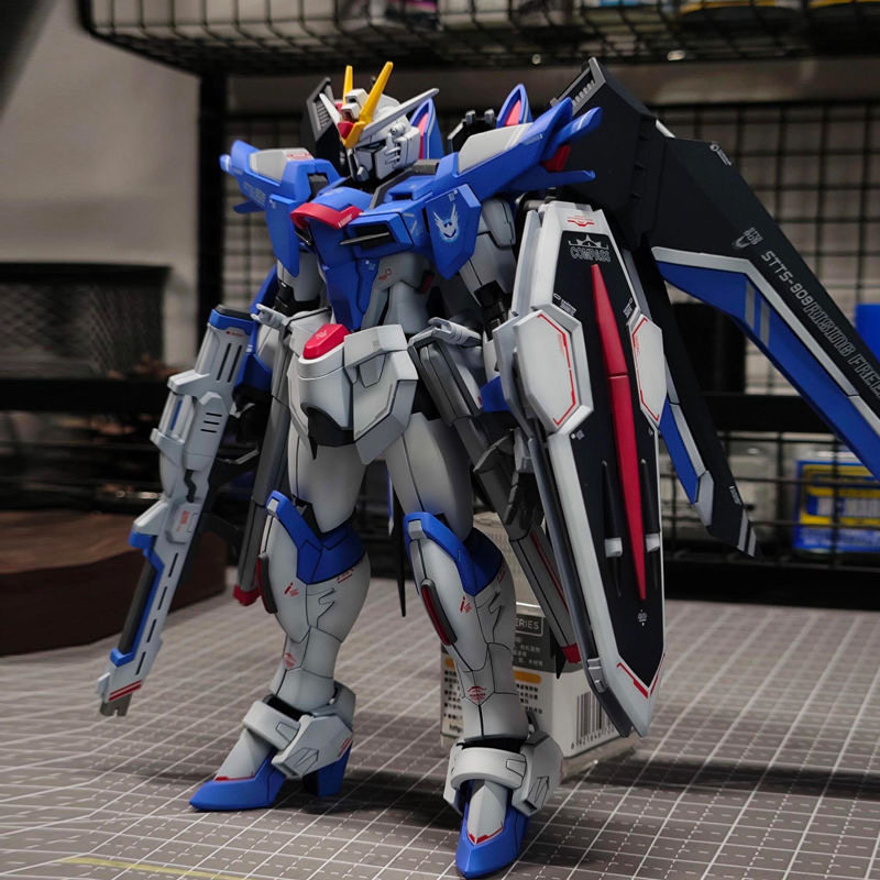 1/144 HG Scale Mecha Plastic M - огляд і ціна Bandai Gundam Rg