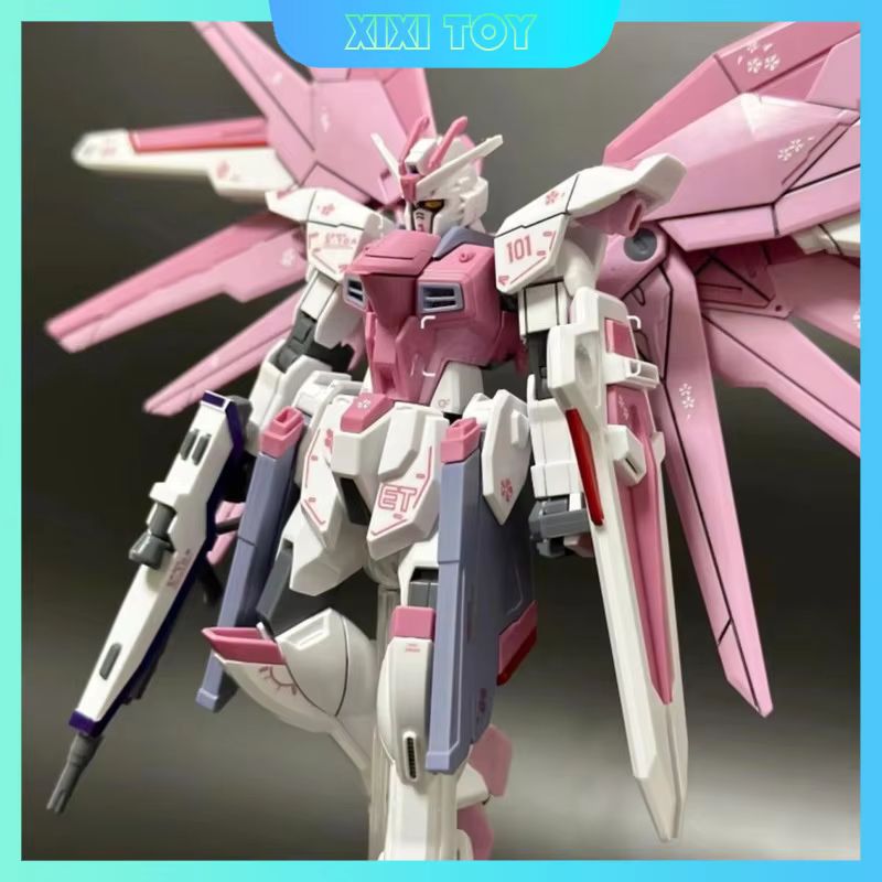 JMS HG 1/144 ZY-06 Freedom Ass - огляд і ціна Bandai Gundam Rg