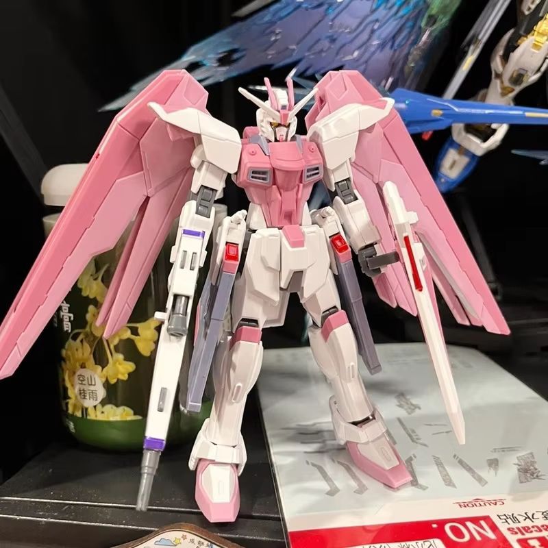 JMS HG 1/144 ZY-06 Freedom Ass - огляд і ціна Bandai Gundam Rg
