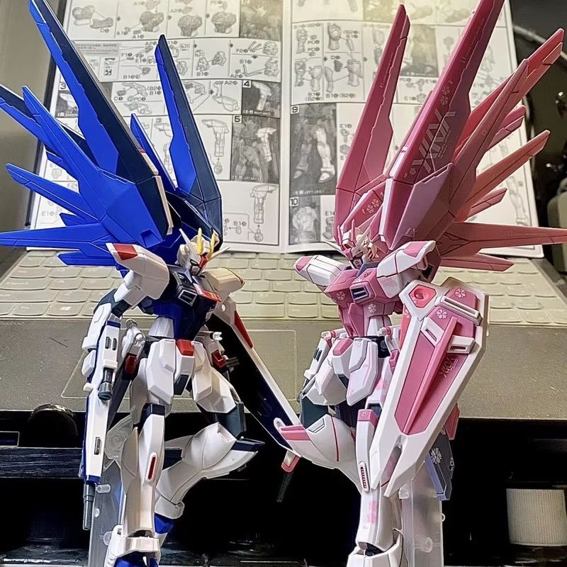 JMS HG 1/144 ZY-06 Freedom Ass - огляд і ціна Bandai Gundam Rg